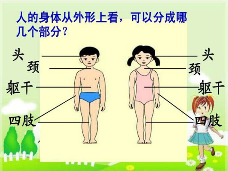 青岛版小学科学三级《我们的身体》课件.ppt_第3页