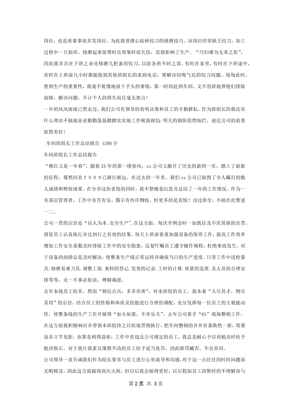 班组长工作总结报告范文.docx_第2页