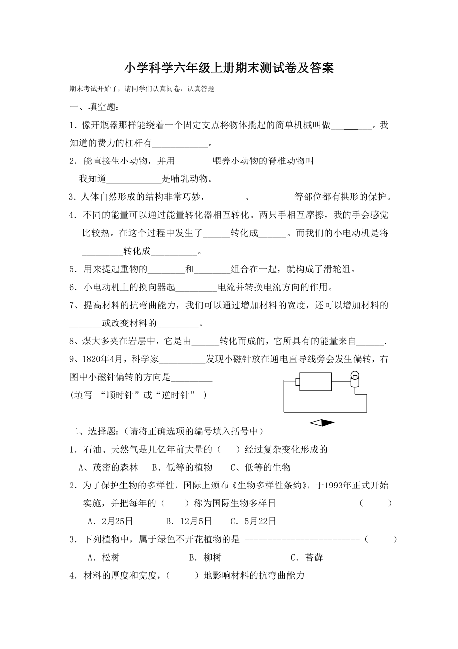 科学小学科学六级上册期末测试卷.doc_第1页