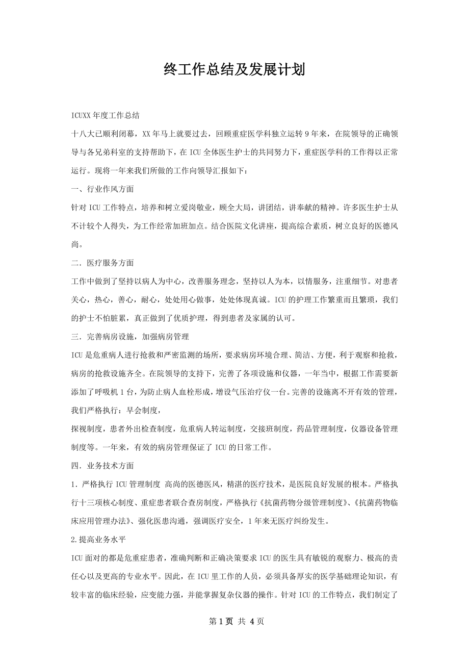 终工作总结及发展计划.docx_第1页