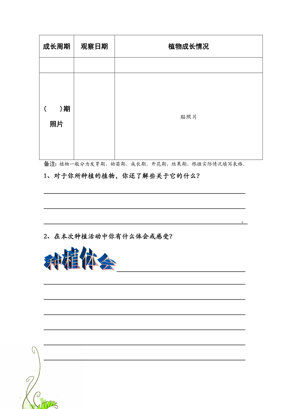 933绿化校园&middot;净化心灵&rdquo;植物种植成长记录表.doc_第3页