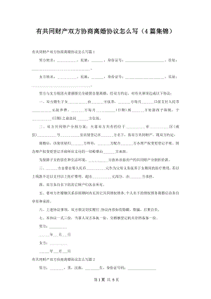 有共同财产双方协商离婚协议怎么写（4篇集锦）.docx