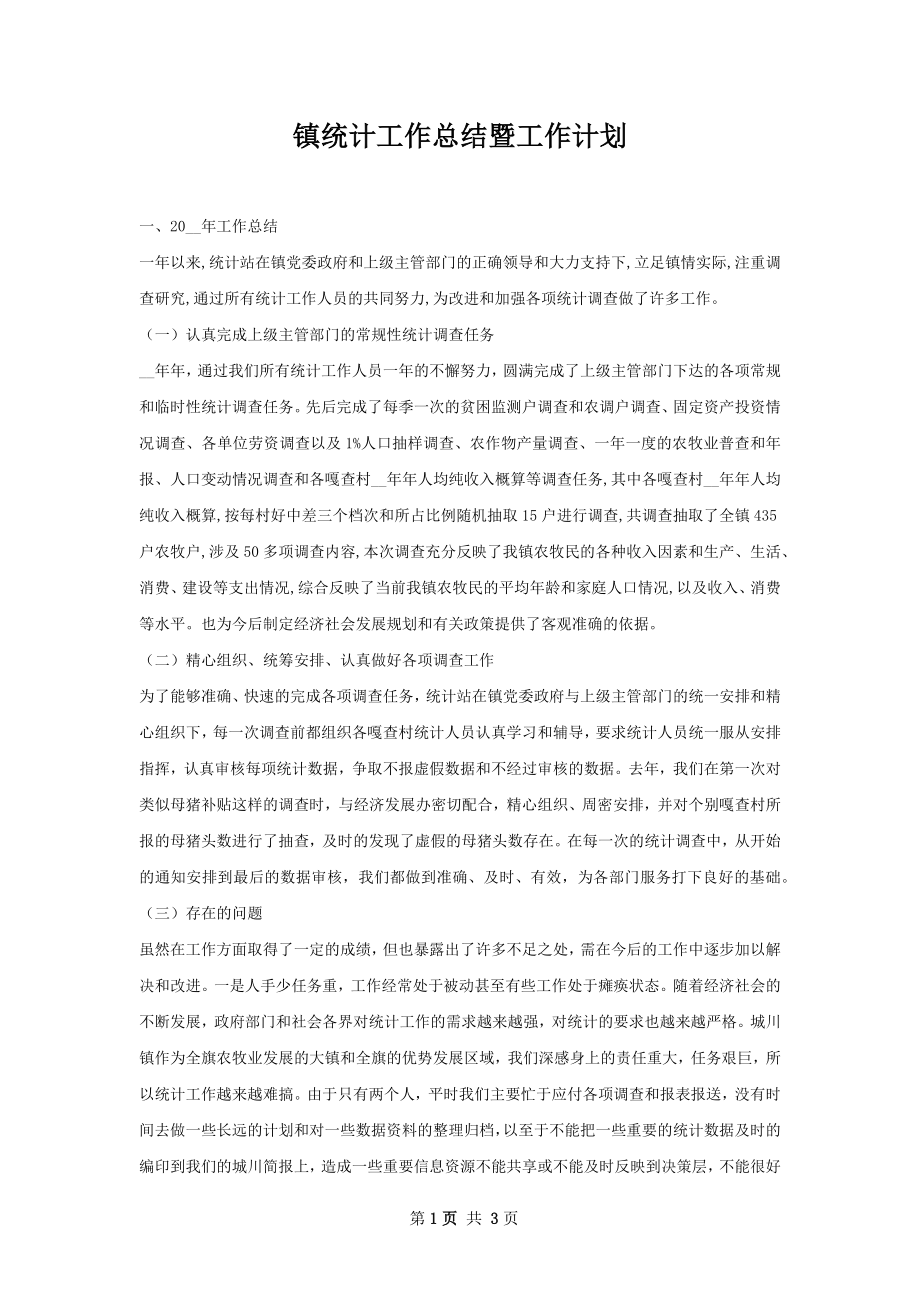 镇统计工作总结暨工作计划.docx_第1页