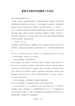 暑假专业教师实践锻炼工作总结.docx