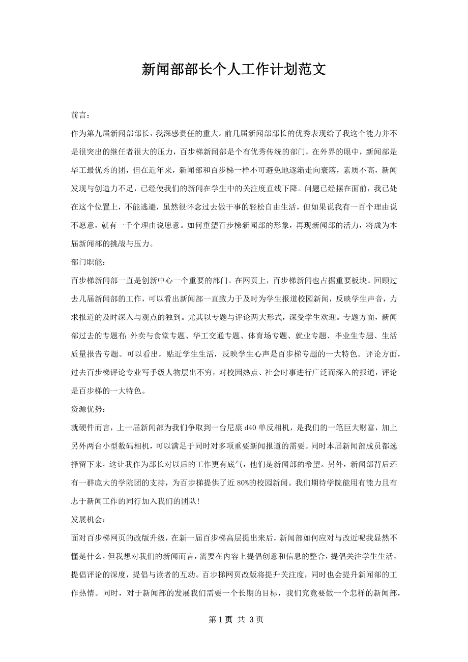 新闻部部长个人工作计划范文.docx_第1页