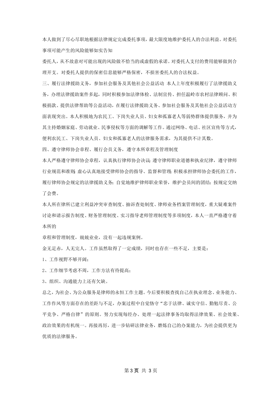 律师执业年度总结.docx_第3页