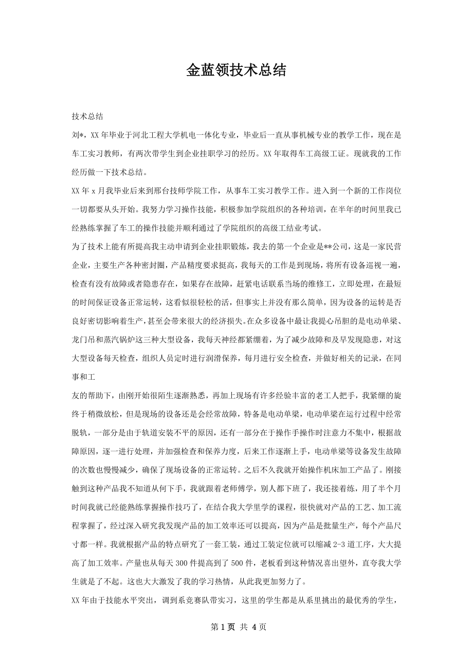 金蓝领技术总结.docx_第1页