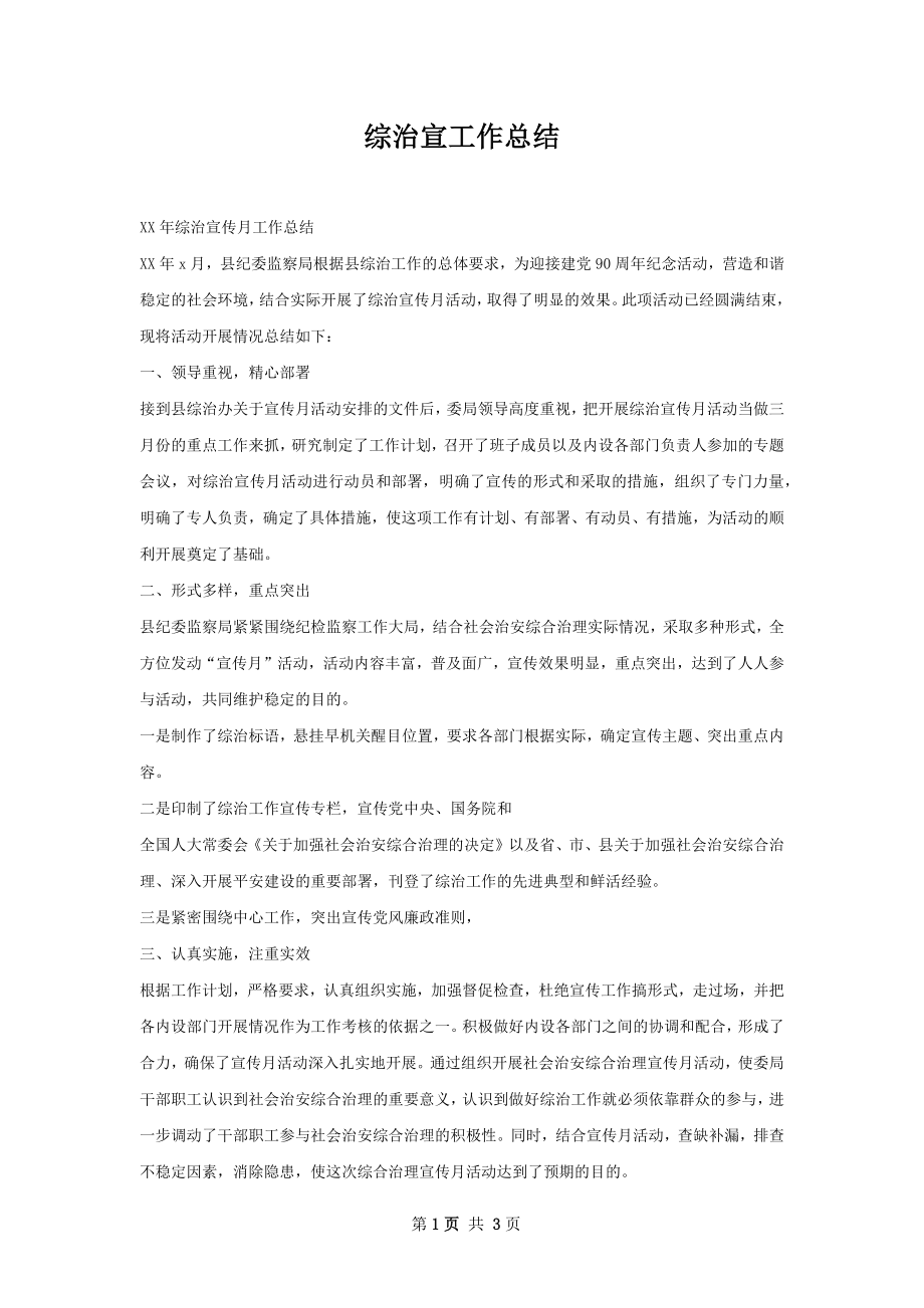 综治宣工作总结.docx_第1页