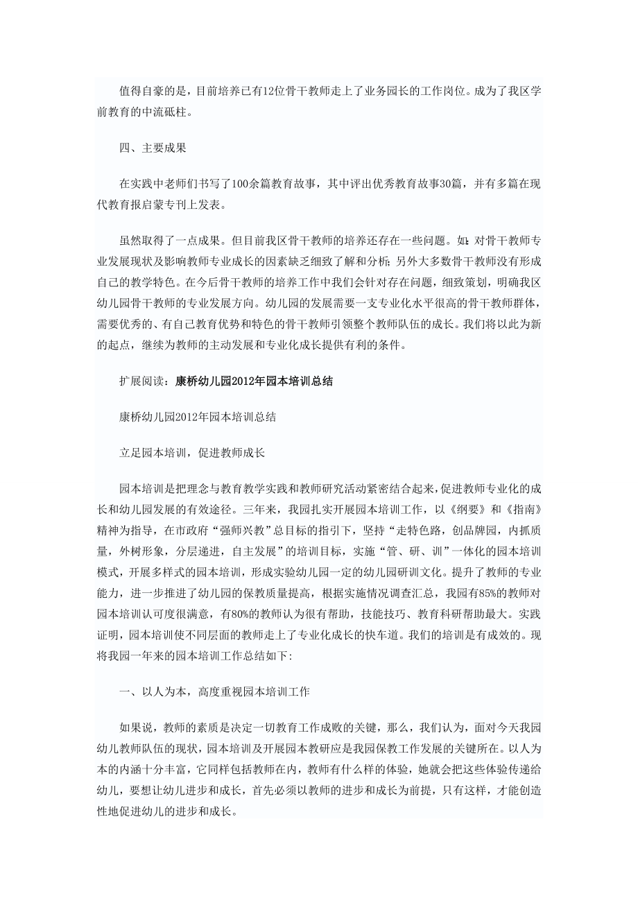 幼儿园骨干教师成长与发展有效途径的实践研究总结.doc_第3页