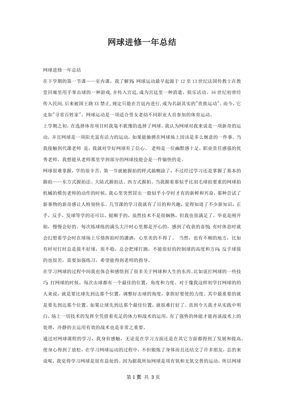 网球进修一年总结.docx_第1页