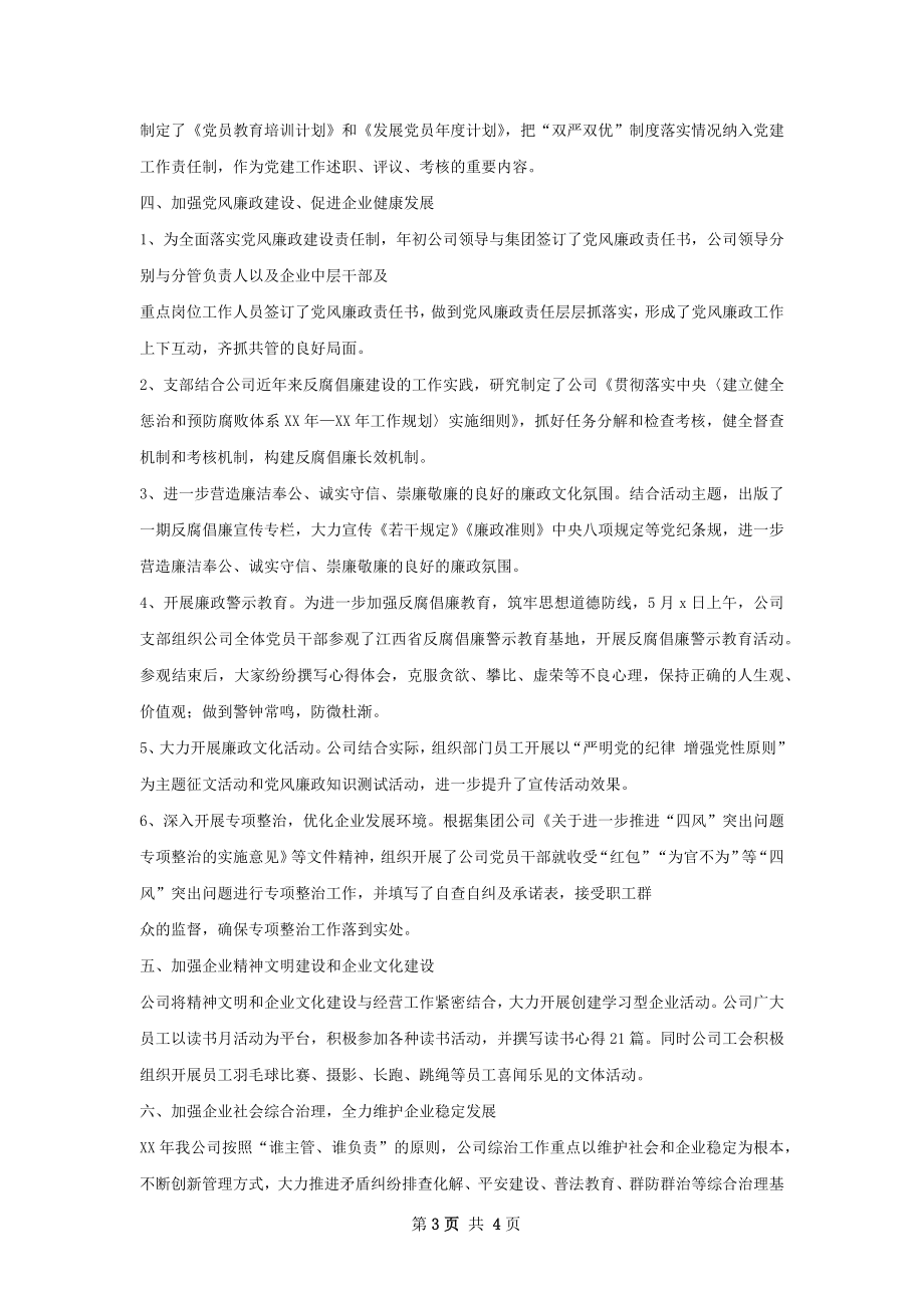 支部工作总结.docx_第3页