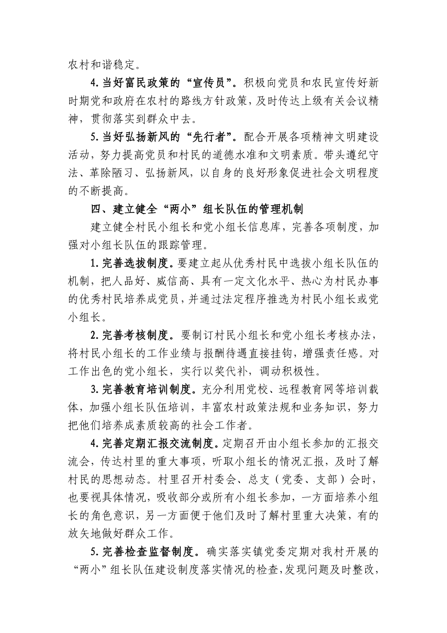 两小组长队伍建设意见.doc_第3页