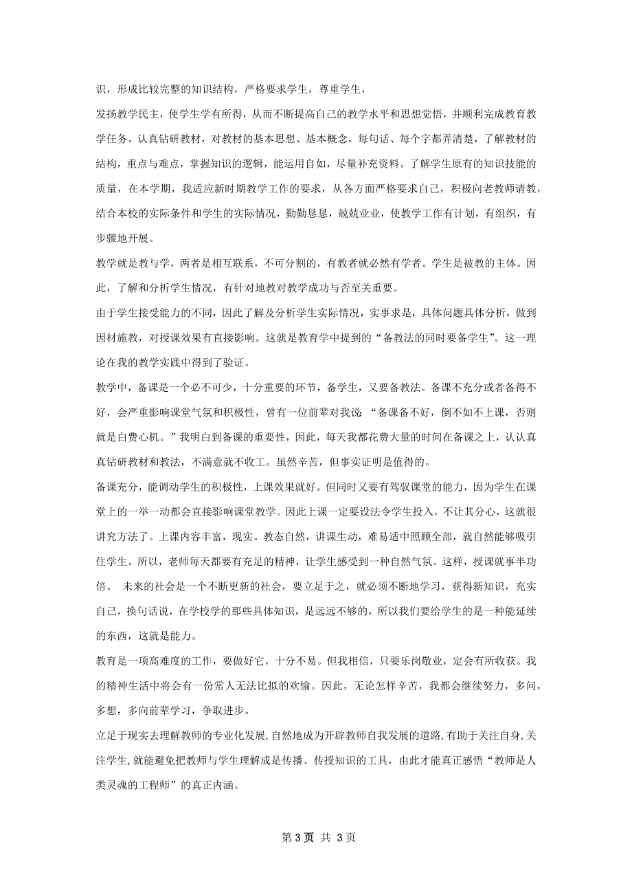 教师个人专业发展总结.docx_第3页