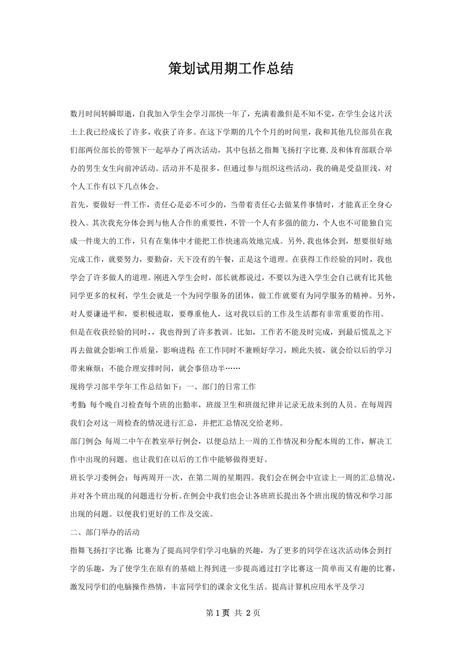 策划试用期工作总结.docx_第1页