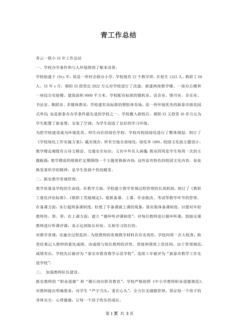 青工作总结.docx_第1页