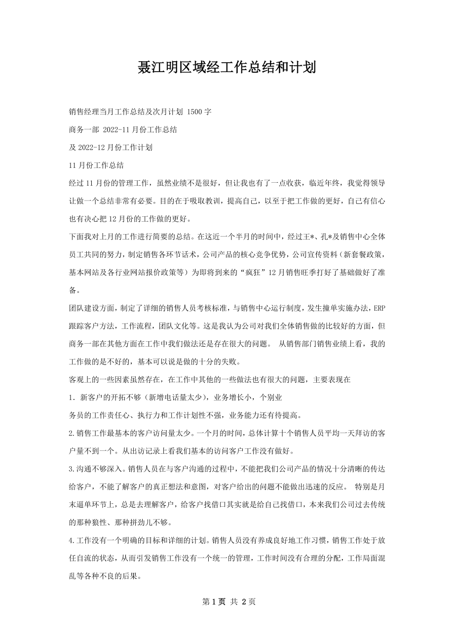 聂江明区域经工作总结和计划.docx_第1页