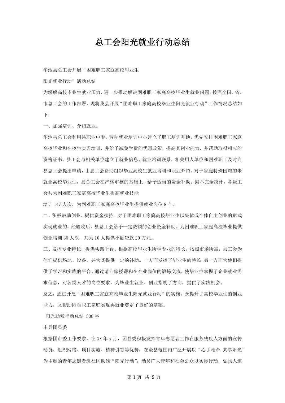 总工会阳光就业行动总结.docx_第1页