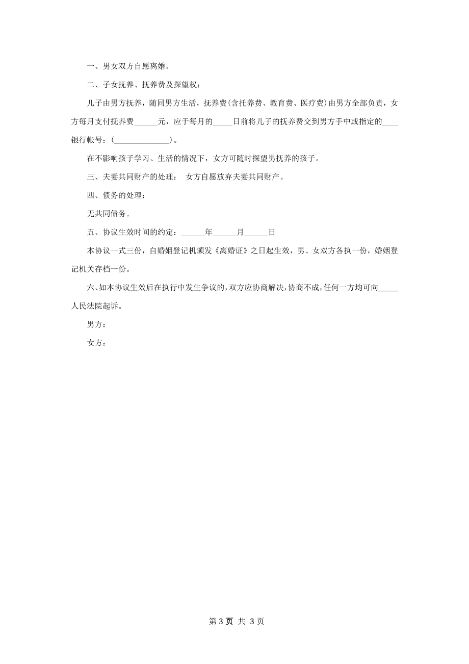 无共同的债务协议离婚范本参考格式（精选3篇）.docx_第3页