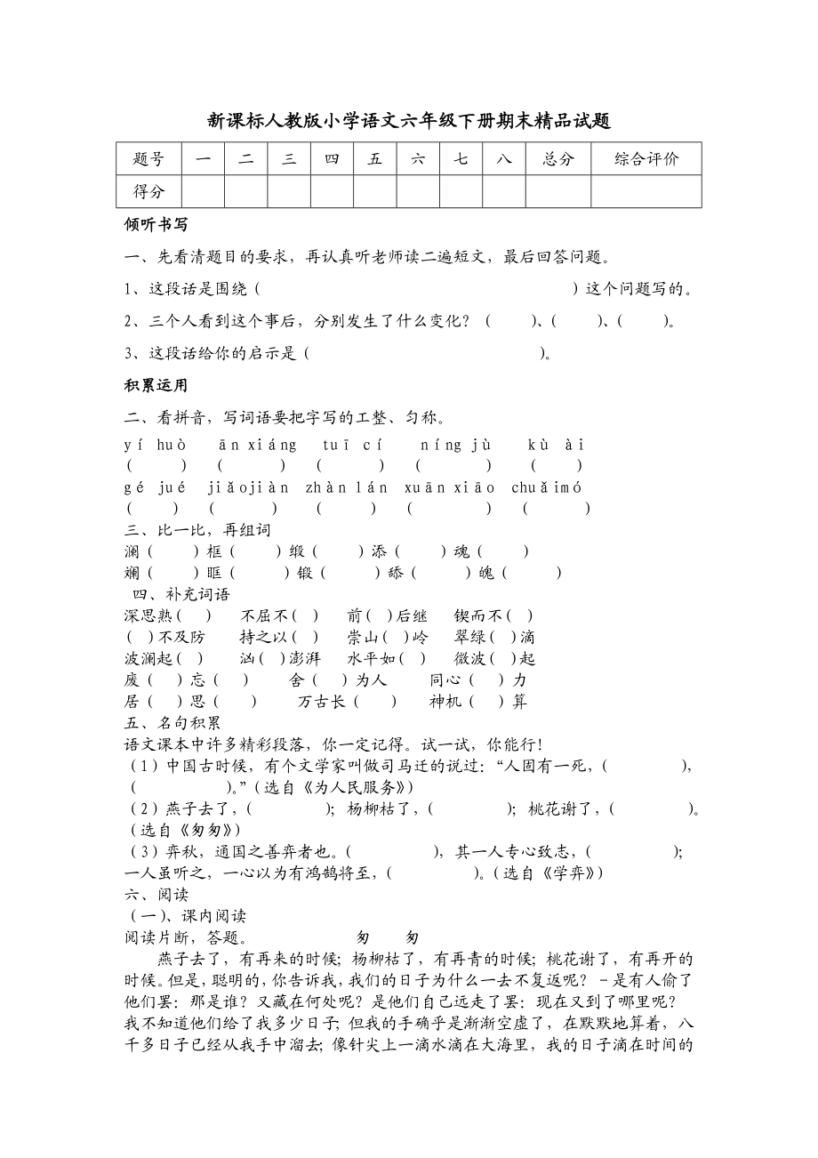 新课标人教版小学语文六级下册期末精品试题.doc_第1页