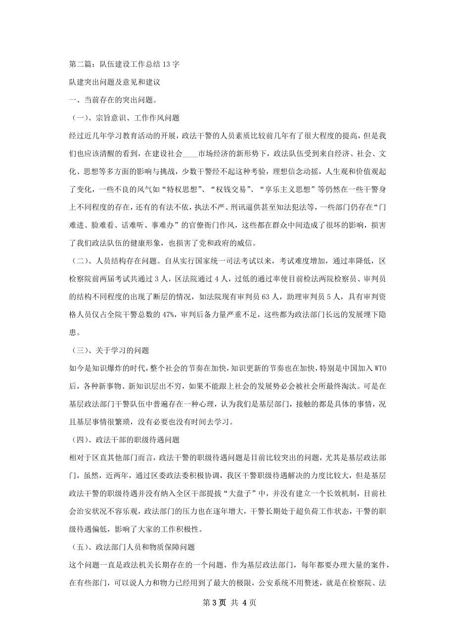 队伍建设工作总结.docx_第3页