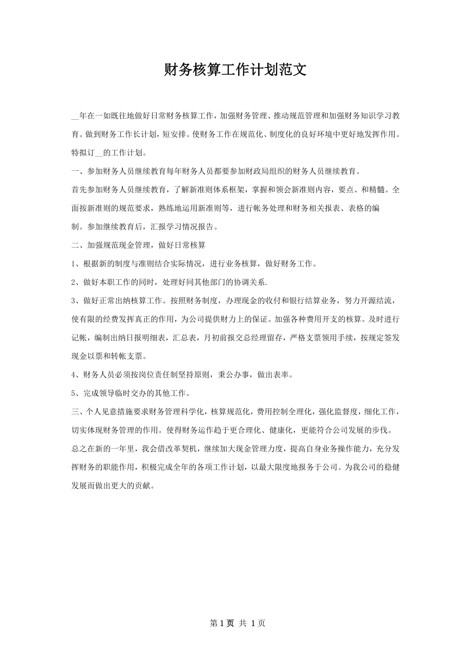 财务核算工作计划范文.docx_第1页