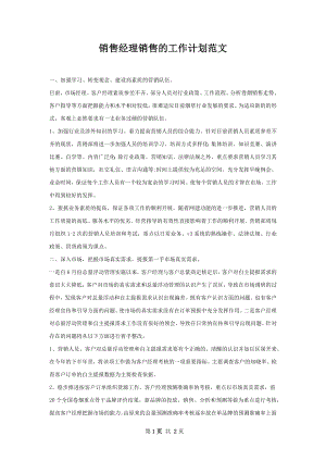 销售经理销售的工作计划范文.docx