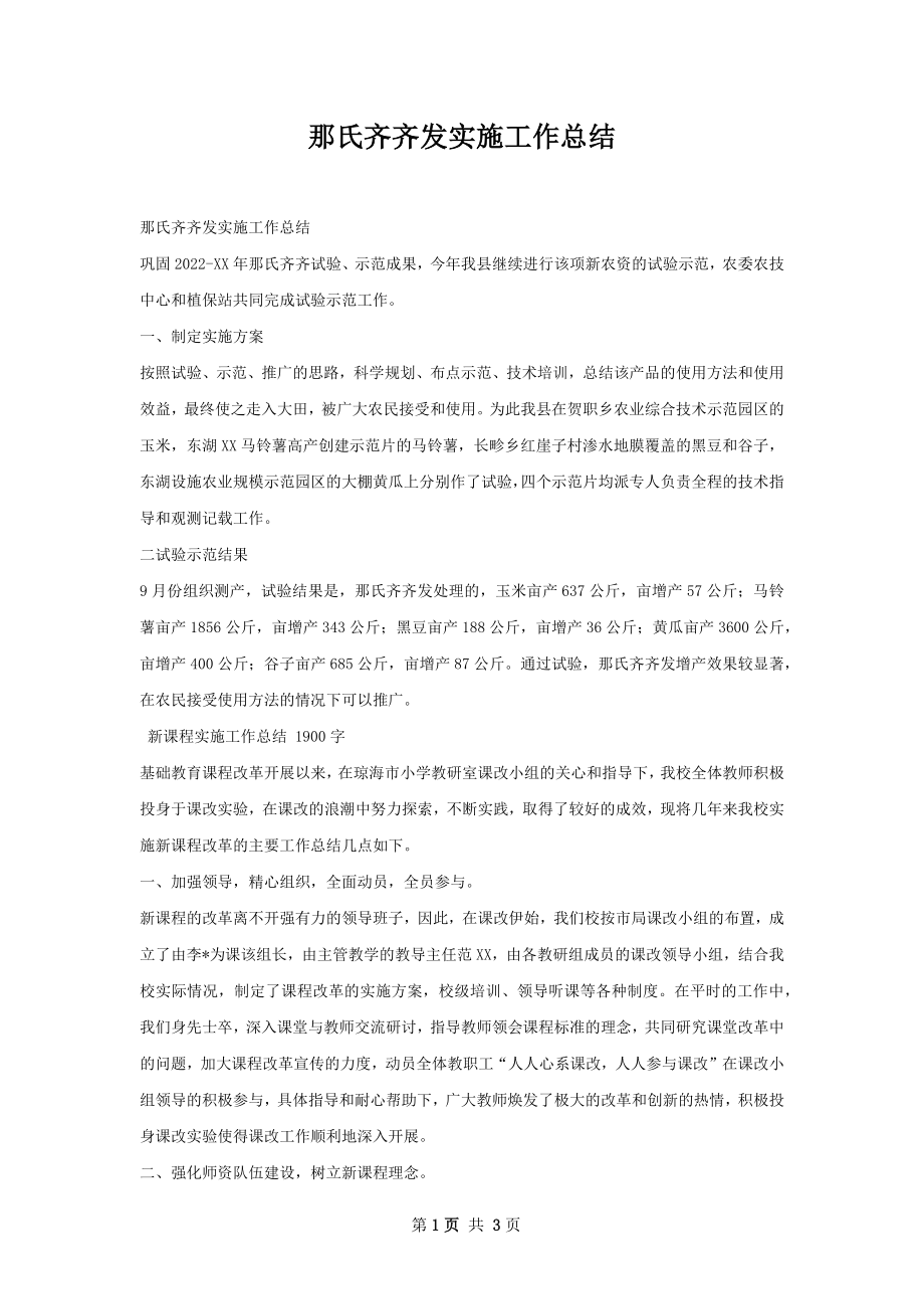 那氏齐齐发实施工作总结.docx_第1页