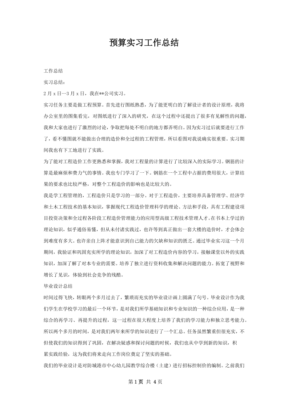 预算实习工作总结.docx_第1页