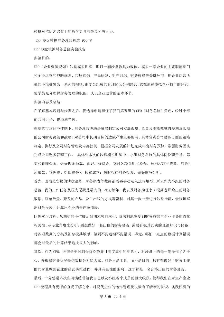 沙盘模拟财务总监总结.docx_第3页