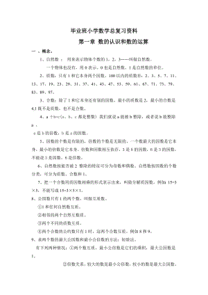 毕业班小学数学总复习资料　全套.doc