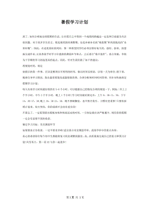 暑假学习计划.docx