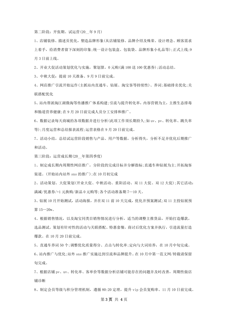 电子商务运营下半年工作计划范文.docx_第3页