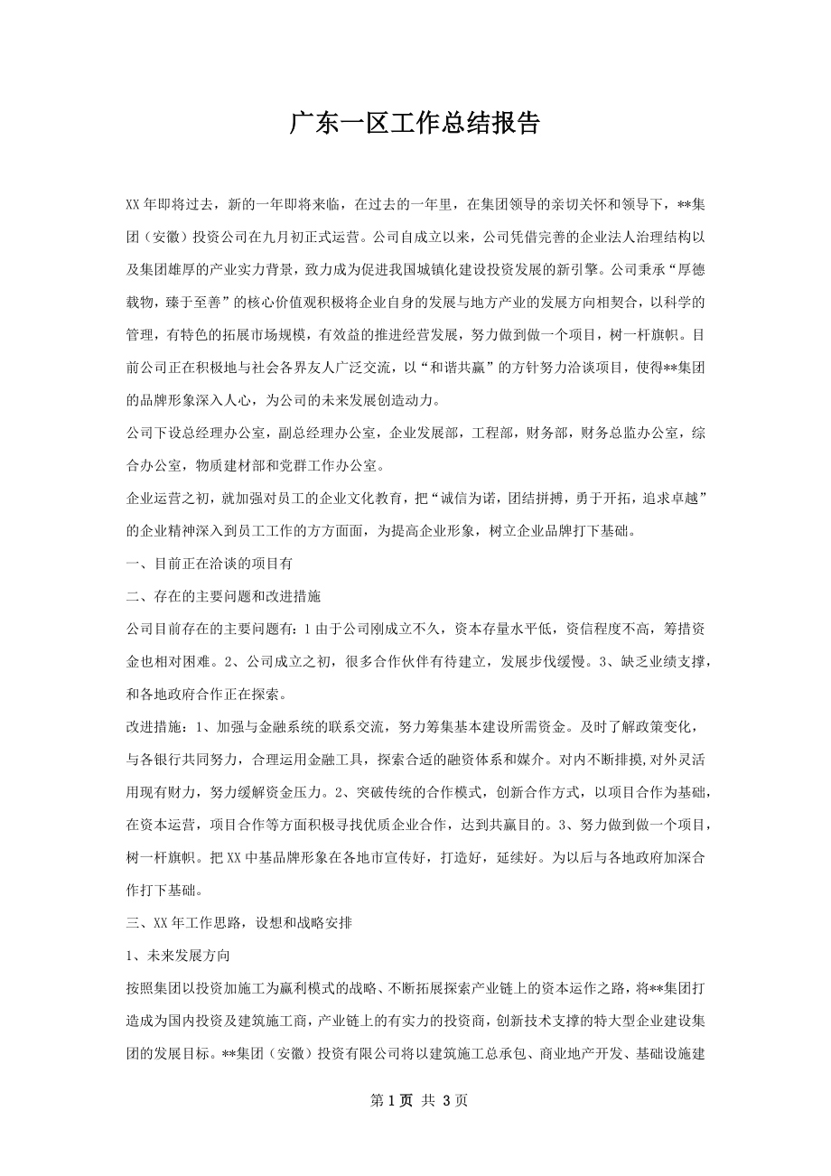 广东一区工作总结报告.docx_第1页