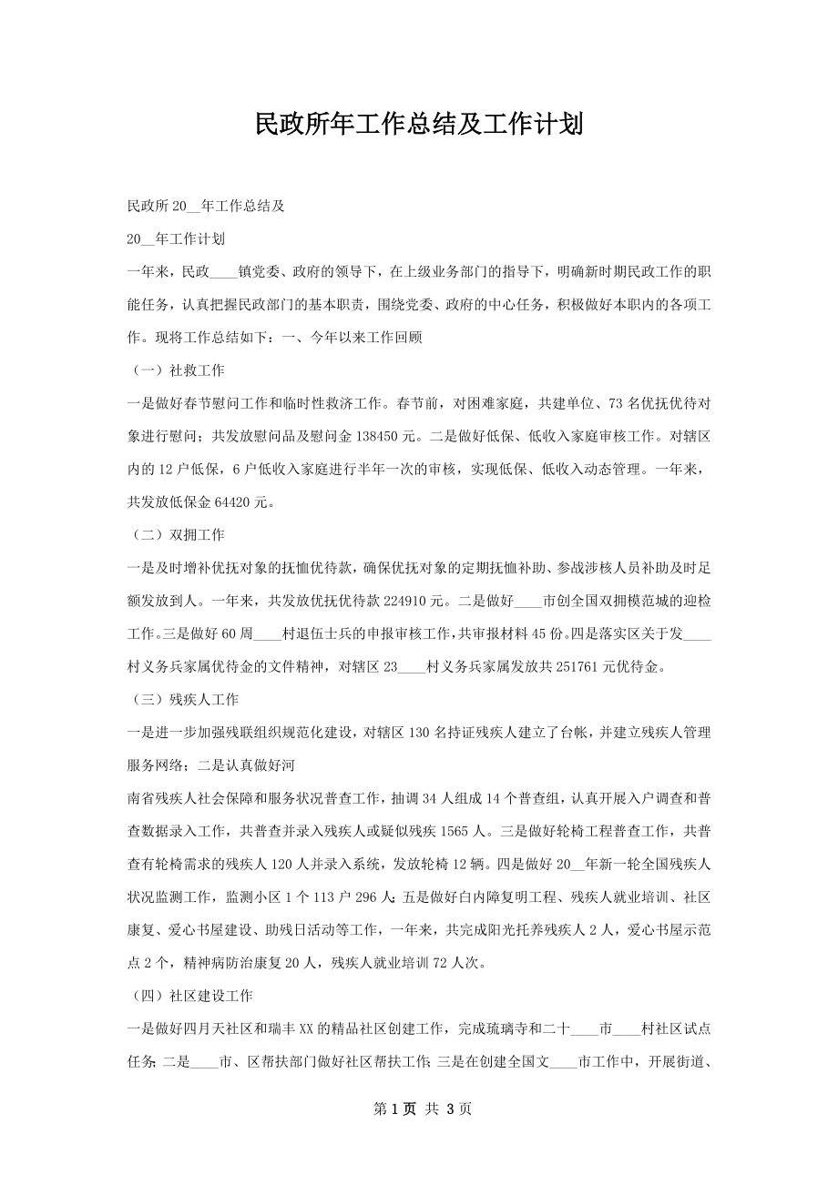 民政所年工作总结及工作计划.docx_第1页