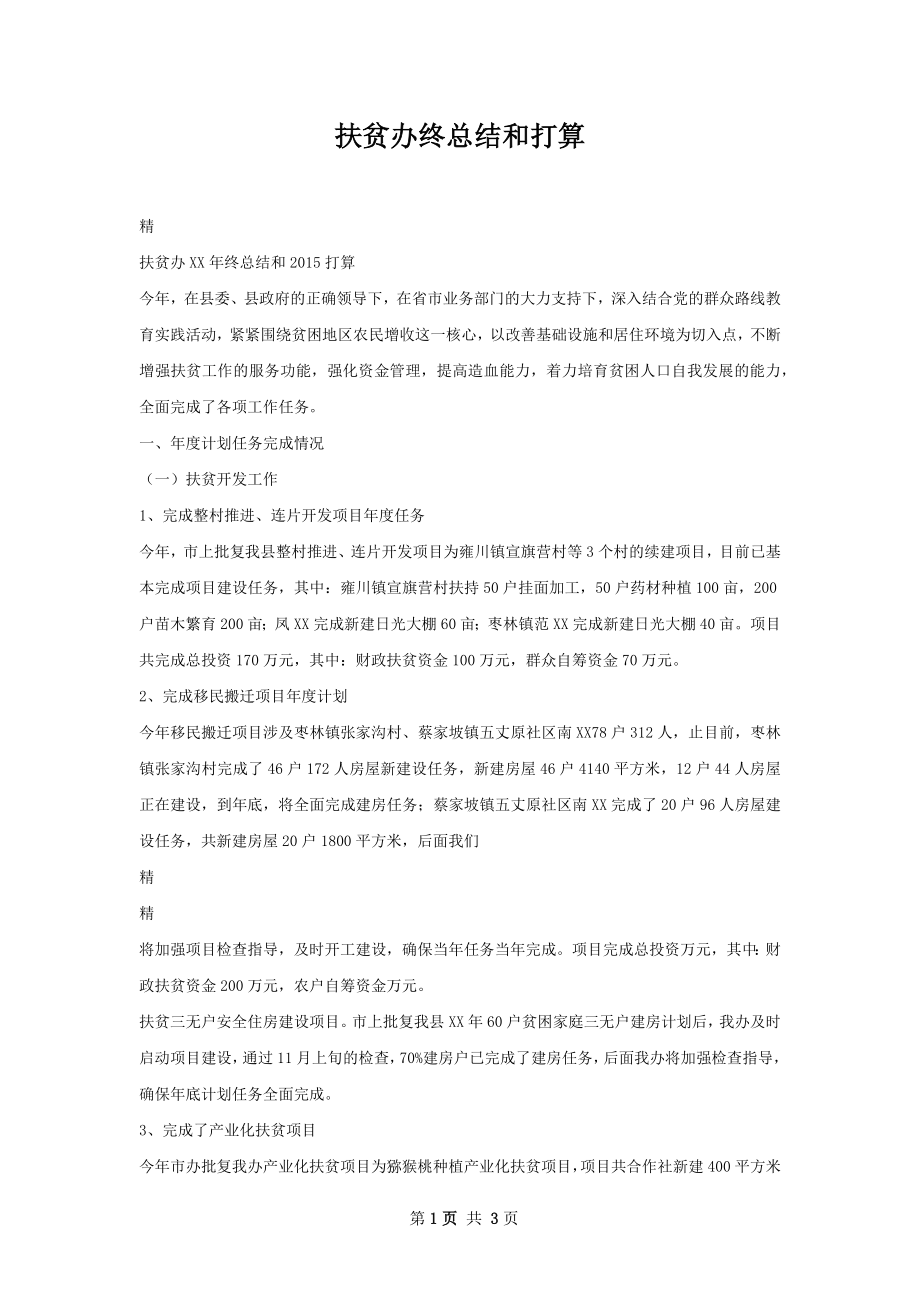 扶贫办终总结和打算.docx_第1页