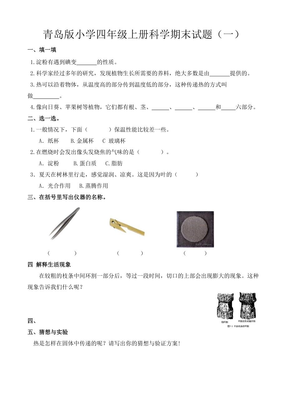 青岛版小学四级上册科学期末试题.doc_第1页