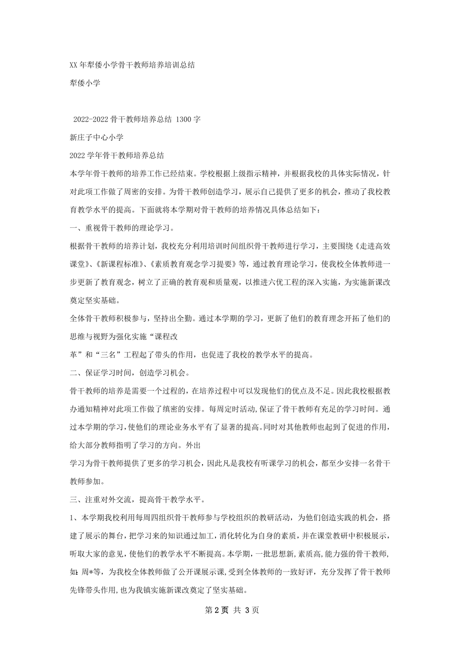 骨干教师培养总结.docx_第2页