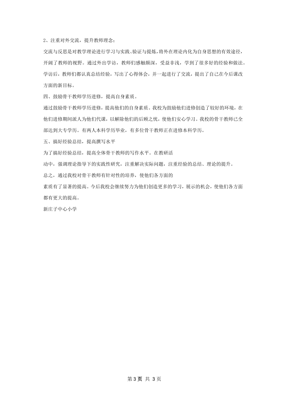 骨干教师培养总结.docx_第3页