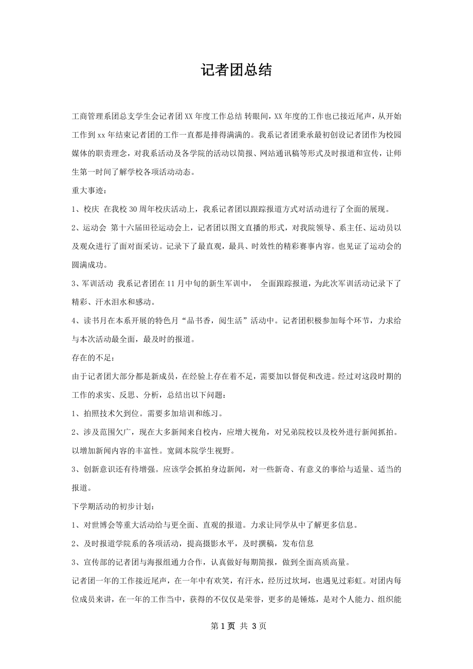 记者团总结.docx_第1页