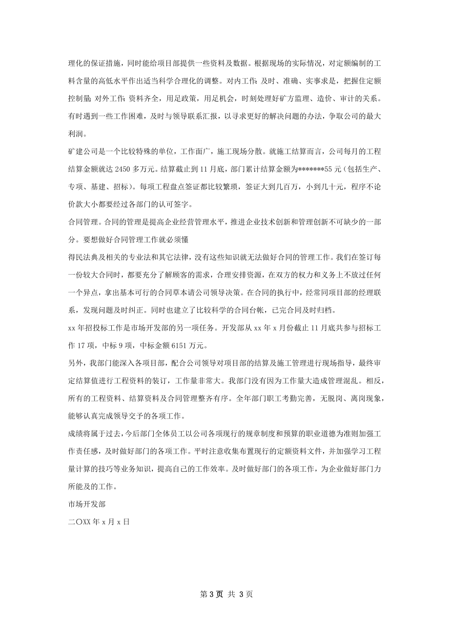 软件开发工作总结.docx_第3页