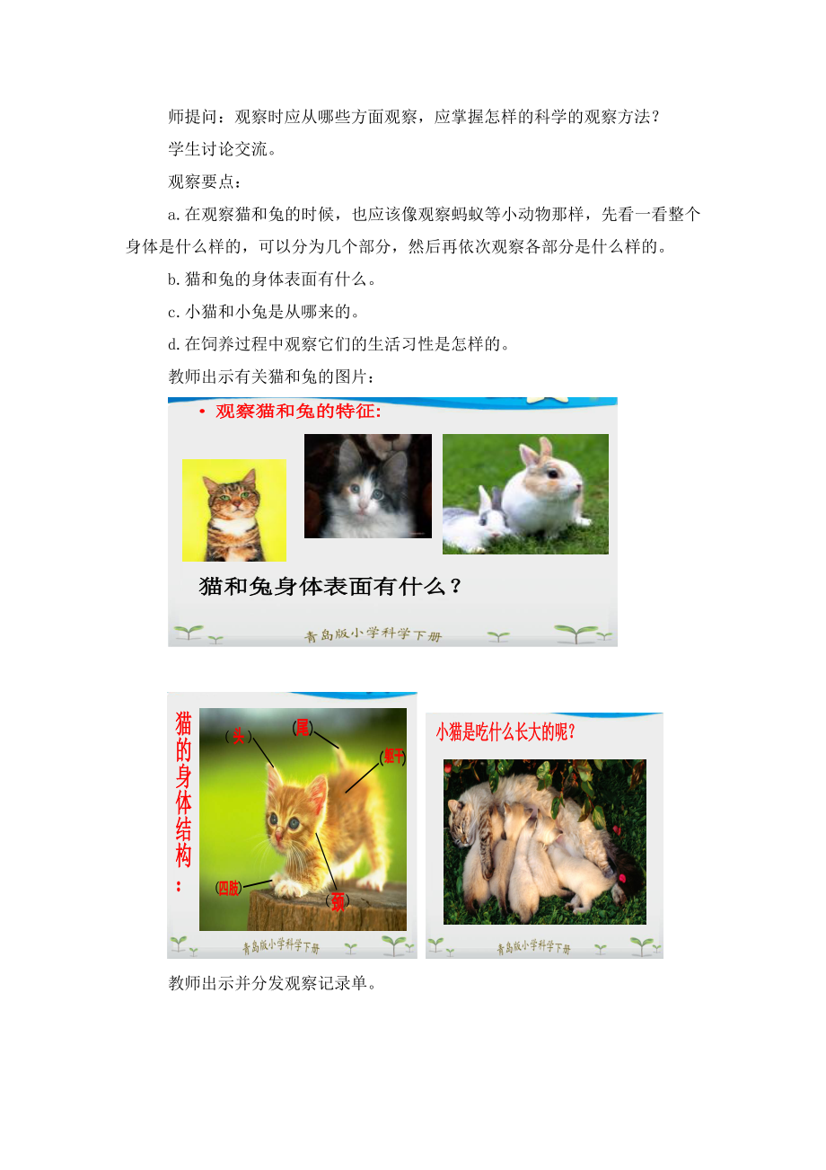 青岛版小学三级科学下册《猫和兔》教学设计.doc_第3页
