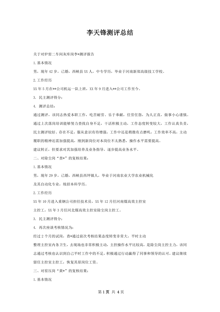 李天锋测评总结.docx_第1页