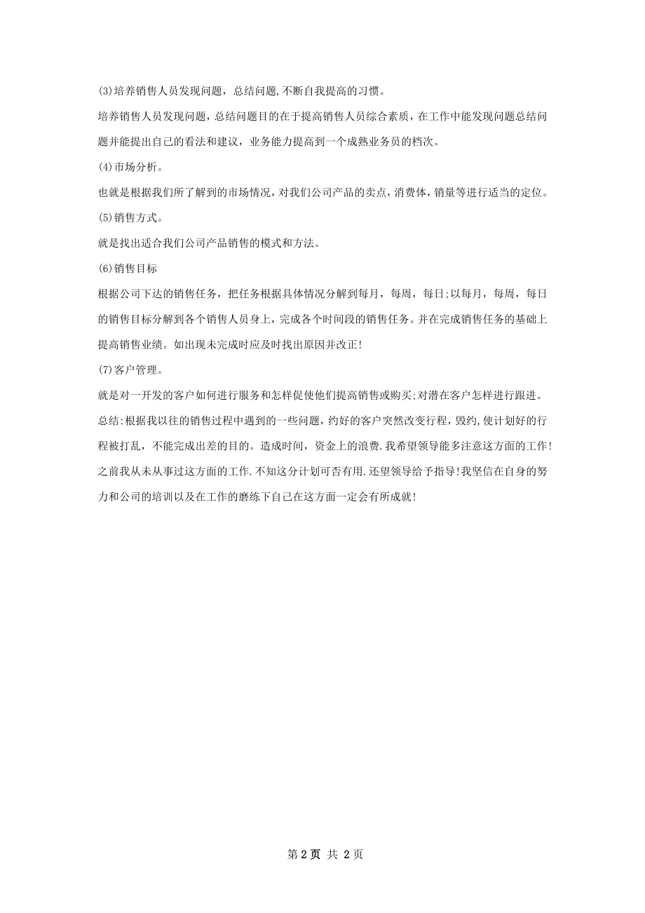 年度销售经理工作计划.docx_第2页