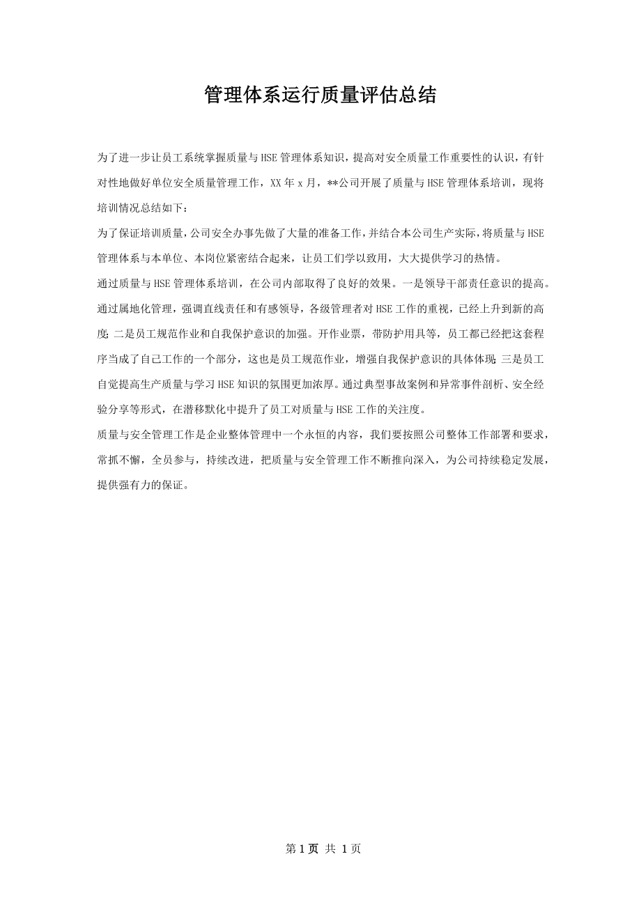 管理体系运行质量评估总结.docx_第1页