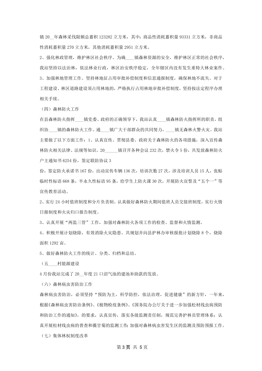 水利站近年来的工作总结及计划.docx_第3页