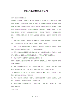 镇民兵组织整顿工作总结.docx