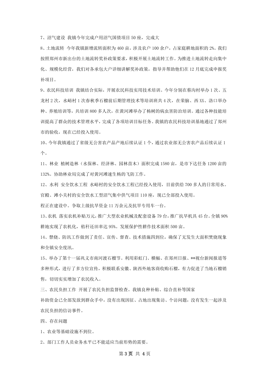 镇关于便民服务中心工作总结.docx_第3页