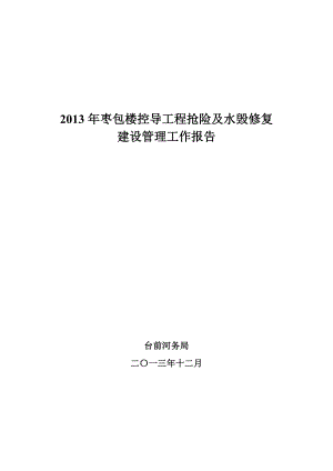 楼控导工程抢险及水毁修复建设管理工作报告.doc