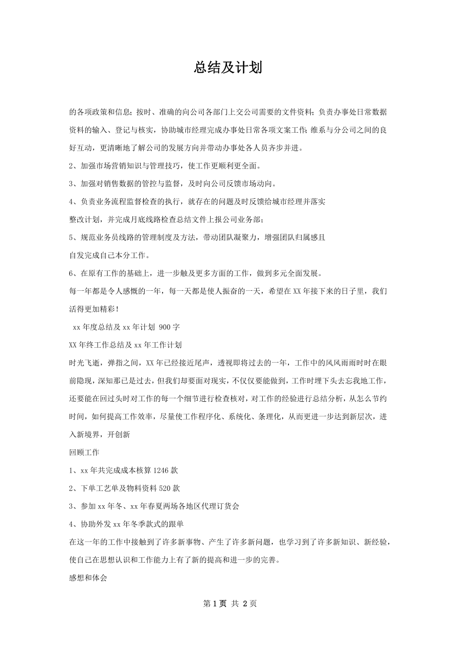 总结及计划.docx_第1页