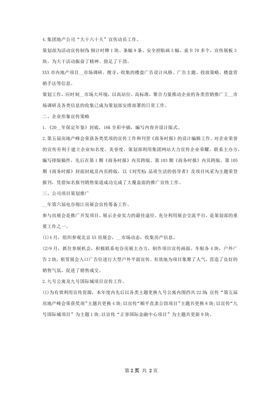 策划工作总结.docx_第2页